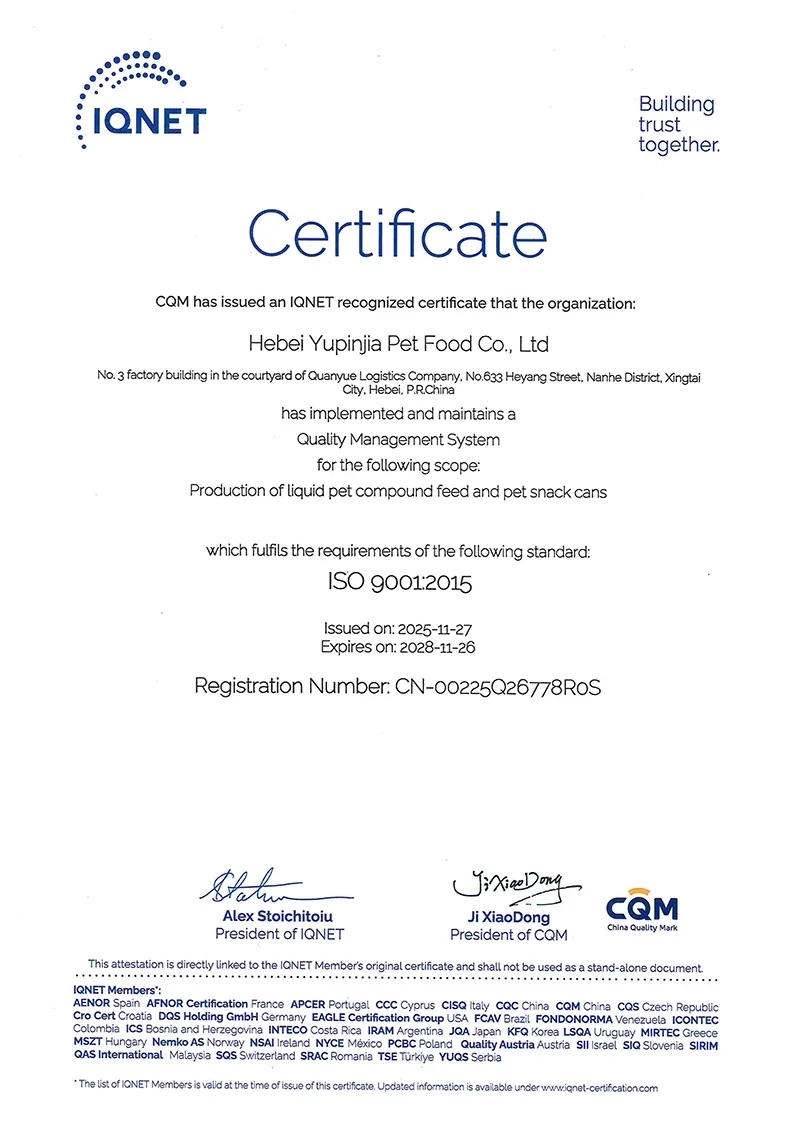 ISO901:2015 质量管理体系认证证书